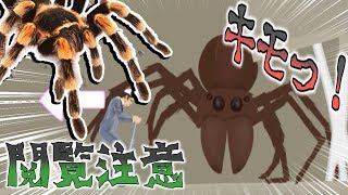 【閲覧注意】虫が苦手な方は視聴をお控えください。- happywheels / ハッピーホイールズ 実況 -