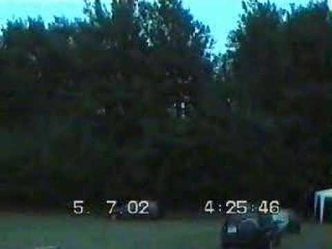 Moondalla_001 - First Morning