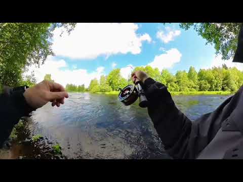 Perhokalstus Merikarvianjoki Flyfishing Merikarvia river 2024