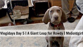 Vlogidays Day 5 | A Giant Leap for Rowdy | MsGoldgirl