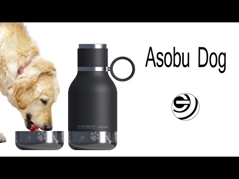 Asobu Dog | Gadget Gets