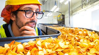 How It’s Made : Inside a French Potato Chip Factory