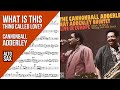 Cannonball Adderley on "What Is This Thing Called Love" (Live in Europe) | Solo Transcription
