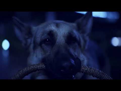 beverly hills chihuahua 2 (2011) - delgado's sons