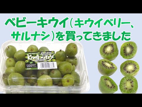 キウイベリー、ミニキウイ 植物