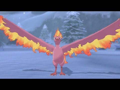 Shiny Moltres after over 122 Attempted! Pokémon Sword Shiny ✨