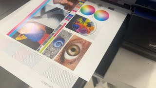 Traçeur Epson SureColor P800 K141A à vendre - Image 4 | Machineryline CA Traçeur Epson SureColor P800 K141A | Image 4 - Machineryline