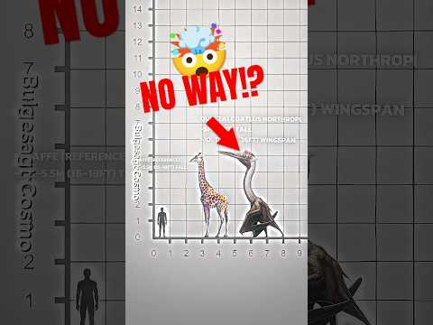 LARGEST FLYING ANIMAL: PTEROSAURS SIZE COMPARISON