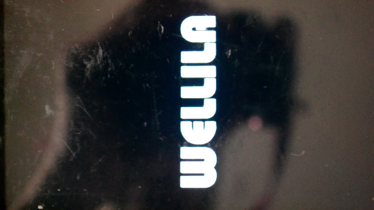 ��������� ����� �� ����� - ��� ������ ����