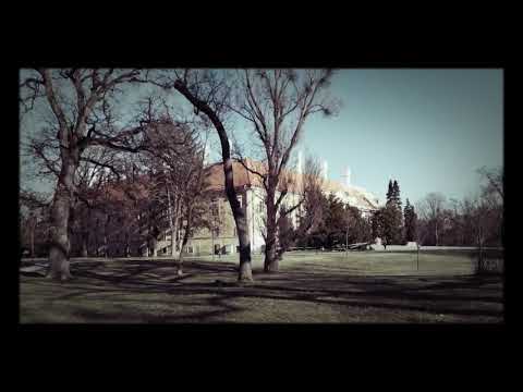 Pálffyovslý Kaštieľ 2 Malacky