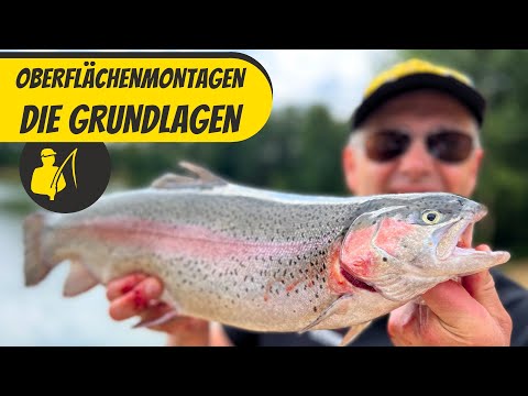 Oberflächenangeln  - die Grundlagen