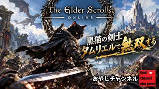 【ESO】黒猫の剣士、タムリエルで無双する！（熟練者モード）　＃1