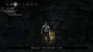 [仁王]へっぽこサムライが配信中