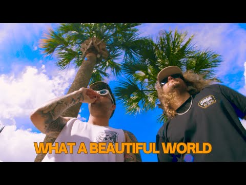 CHAD TEPPER -￼What a beautiful world f￼t Kash’d out (music video)