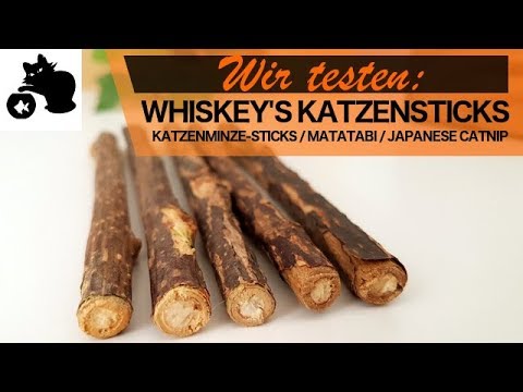 🔥Whiskey's Katzensticks im Test + Verlosung - Matatabi Sticks / Katzenminze-Sticks