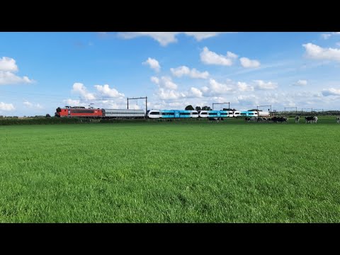 RXP 9902 met GTW-D's 241, 242 en 240 in Harculo!