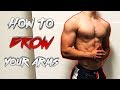 I'M BACK! - How to Survive #GCSEs2018, Arm & Shoulders workout