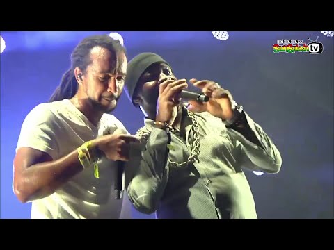 DUB INC - They want feat. Skarra Mucci (Live Rototom 2016)