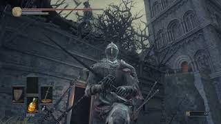 [黑魂] 老子直接在你臉上撐竿跳