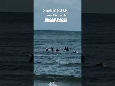 Surfin’ R.O.KSongDo Beach in Busan Korea Elvis Choi Band's"World Tour"  Hospitality Tourism #Surfing
