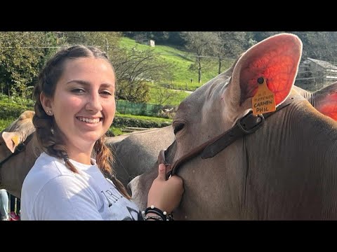 Taleggio, la fiera zootecnica