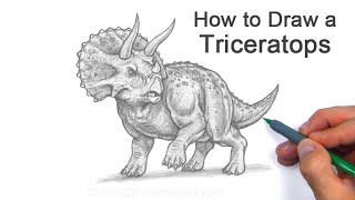 How to Draw a Triceratops