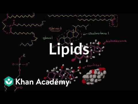 Lipid Storage Disorders: Biological and Medical Aspects