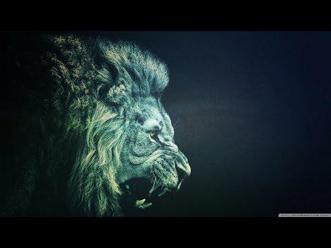 Dzakob x Madeinm x Huki - W nerwach.(Prod.Somaly) VIDEO