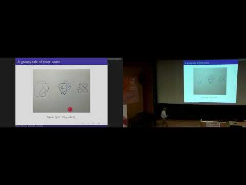 Knot my problem: looking for rigidity in group theory, M.Bridson (University of Oxford)