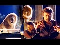 Mrugaraju Movie Chiranjeevi Attack The Lion Scene Latest Telugu Movies Telugu Super Hit Movies