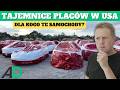 THOUSANDS OF CARS And SECRETS Of America S Favorite Lot VIEWS PRICES