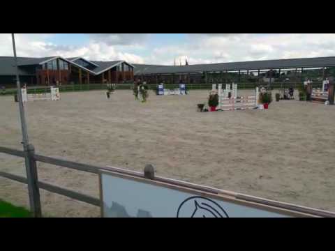 Handsome Boy GS (Eldorado vd Zeshoek x Kenwood)