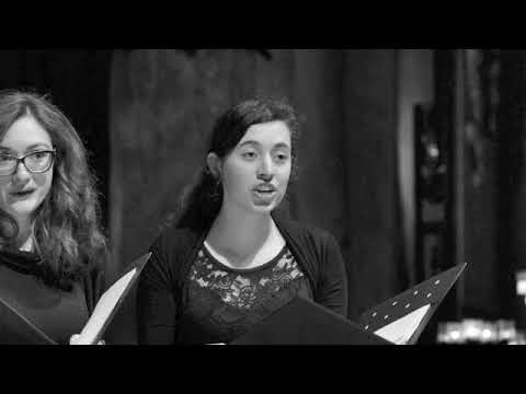 Concerto di Natale 2018 della Cappella Civica - Estratti