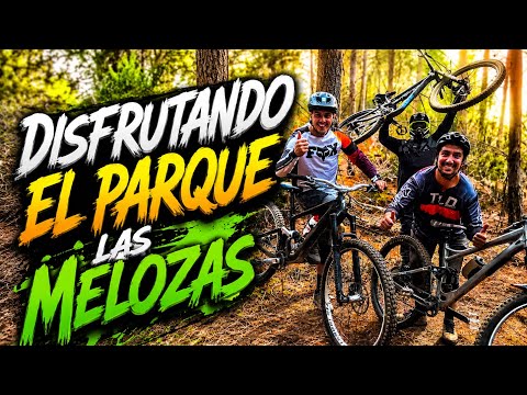 Pistón de DH en Parque Las Melozas, Colbún Maule - ProLine Podcast 