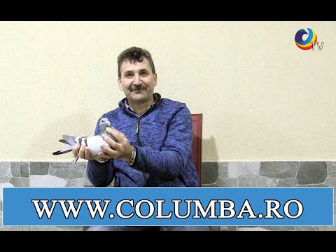 Ionel Cioată – un crescător cu rezultate de top la Maraton și Extrem al județului Caraș Severin