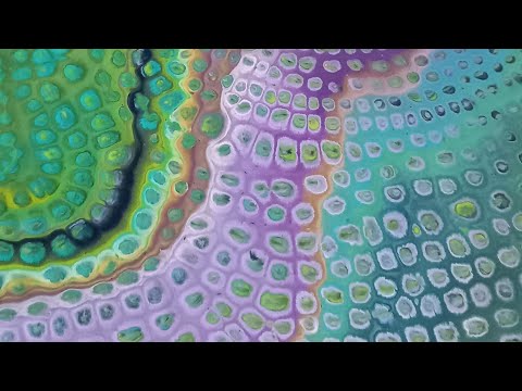 #252 CHAMELEON CELLS! and HOW TO CLEAN YOUR CANVAS | TUTORIAL | FLUID ART 2023
