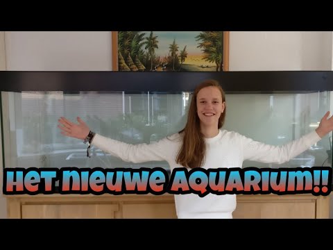 download lagu mp3 mp4 Groot Aquarium Te Koop, download lagu Groot Aquarium Te Koop gratis, unduh video klip Groot Aquarium Te Koop