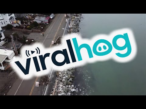 Aftermath of Birch Bay Destruction || ViralHog