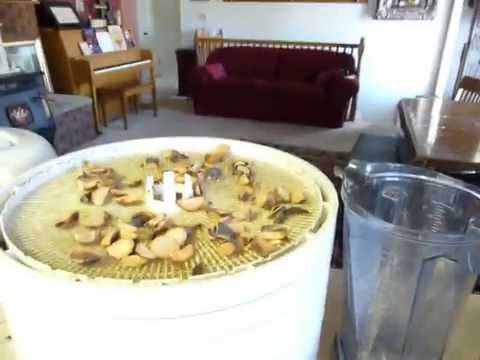 download lagu mp3 mp4 Dehydrated Avocado Powder, download lagu Dehydrated Avocado Powder gratis, unduh video klip Dehydrated Avocado Powder