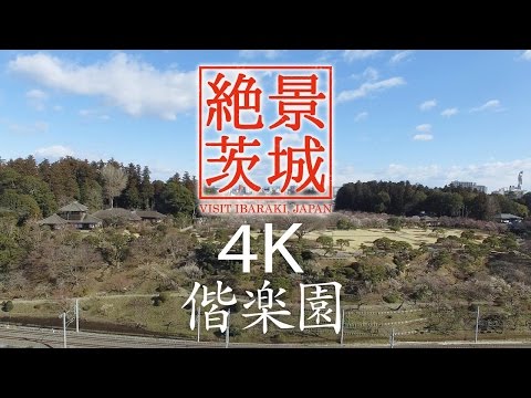 【日本三名園】偕楽園 茨城県水戸市｜絶景茨城 -VISIT IBARAKI, JAPAN-