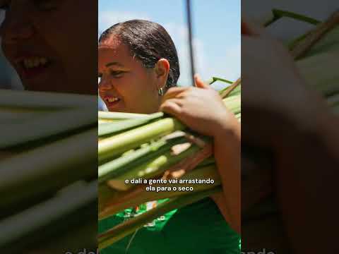 O canto da taboa, no Litoral Sul de Alagoas | Vale Empreendimentos