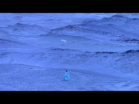 Nakani - Forget Me Forgot You