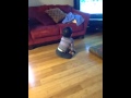 Mickey Mouse Clubhouse