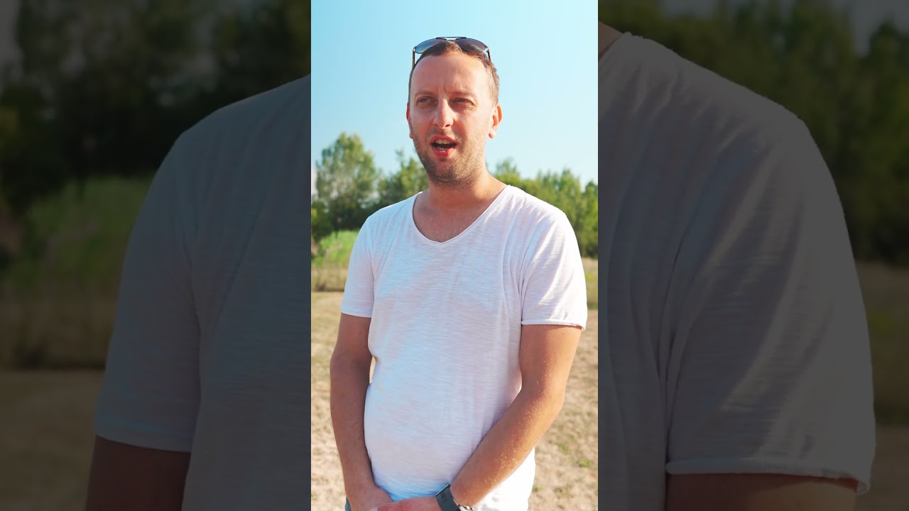 Dvůr u Bílého stromu