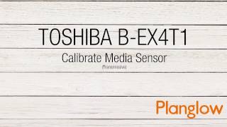 Automatic Calibration for Transmissive Label Media