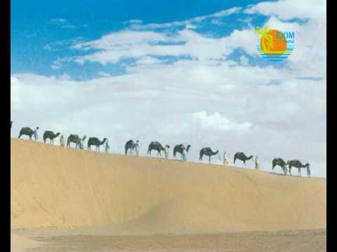 co mówi Krystyna Czubówna o Exim Tours