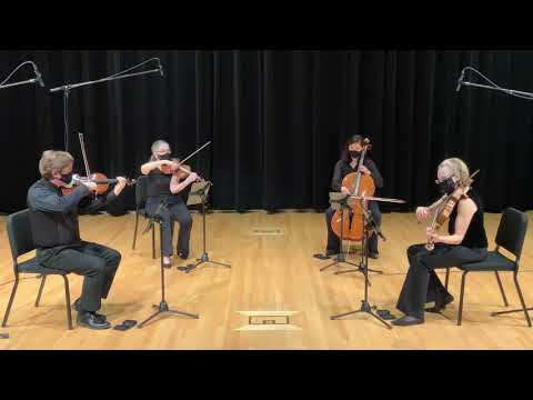 HAYDN    Seven Last Words of Christ