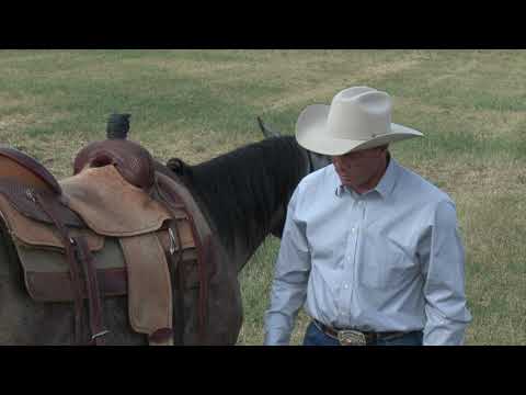 Safety on the Ground: A Lesson With Trent