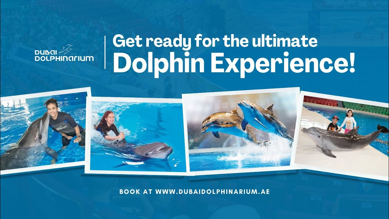 Discover the captivating highlights of Dolphinarium.