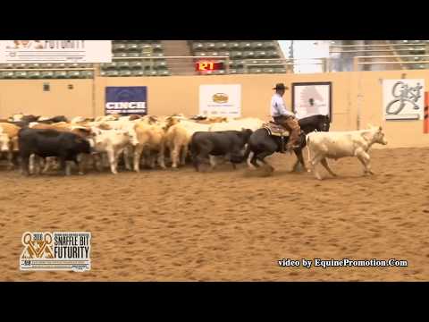 Hesa Royalena ridden by Clay Volmer  - 2016 NRCHA Snaffle Bit Futurity (Rein Work - Open Prelims)